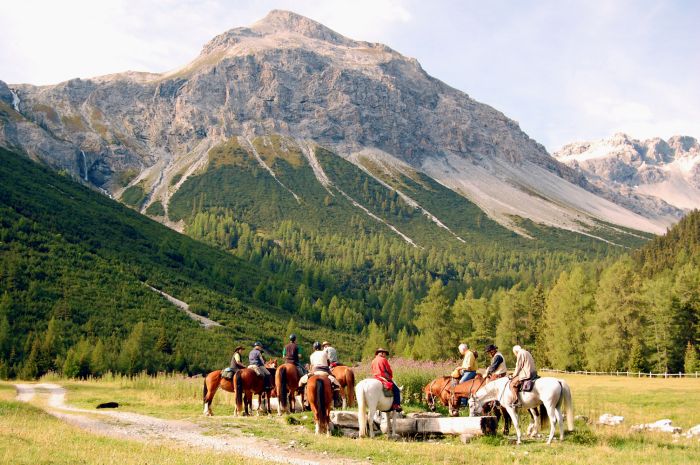Randonnées panoramiques à travers les Alpes