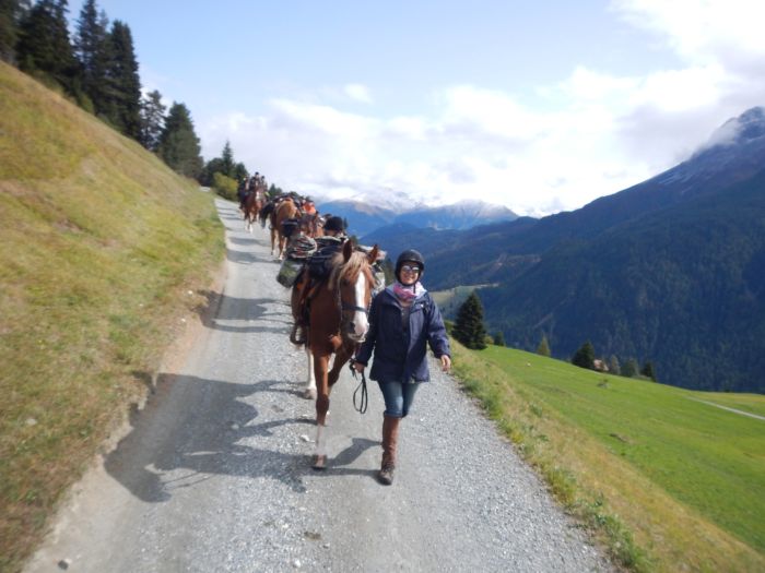 Randonnées panoramiques à travers les Alpes