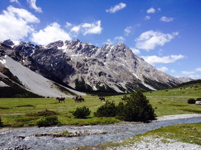Randonnées panoramiques à travers les Alpes