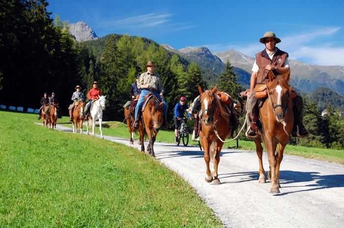 Randonnées panoramiques à travers les Alpes