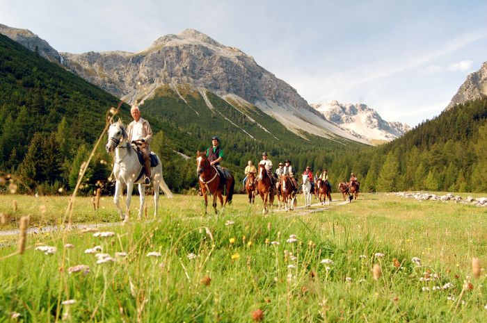 Randonnées panoramiques à travers les Alpes