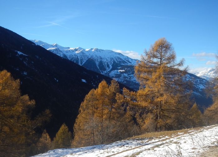 Randonnées panoramiques à travers les Alpes