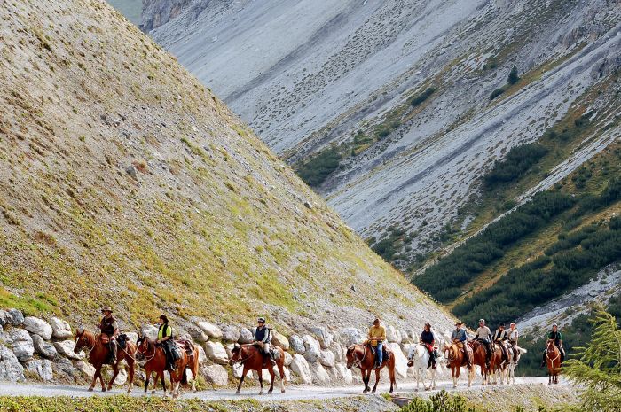 Randonnées panoramiques à travers les Alpes