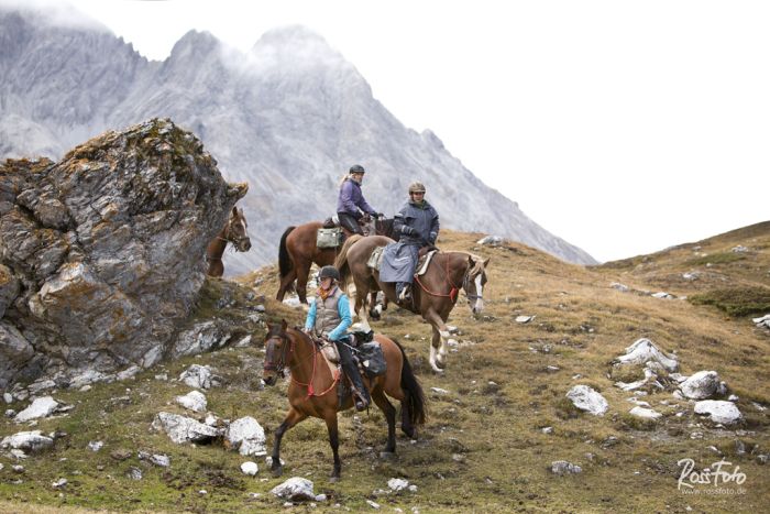 Randonnées panoramiques à travers les Alpes