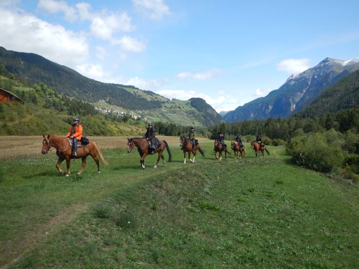 Randonnées panoramiques à travers les Alpes