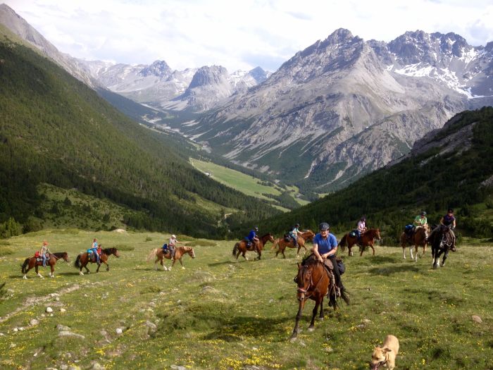 Randonnées panoramiques à travers les Alpes