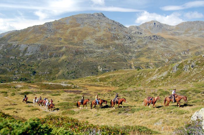 Randonnées panoramiques à travers les Alpes