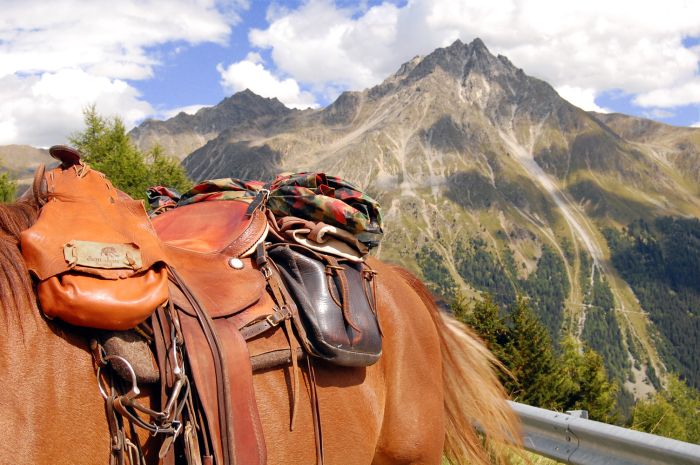 Randonnées panoramiques à travers les Alpes
