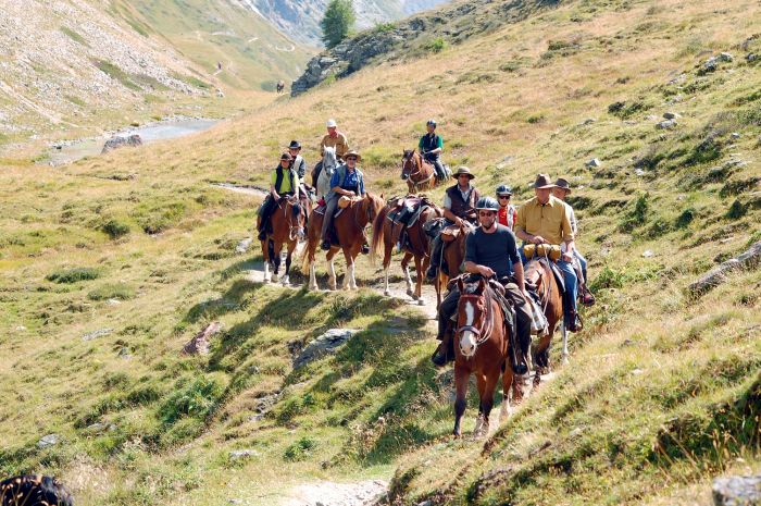 Randonnées panoramiques à travers les Alpes