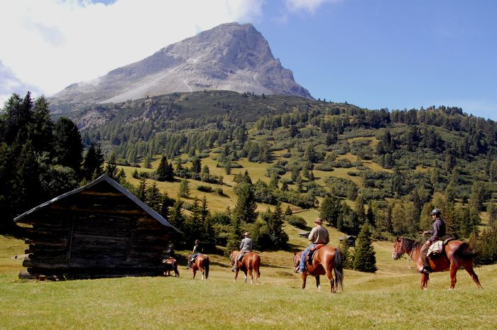 Randonnées panoramiques à travers les Alpes