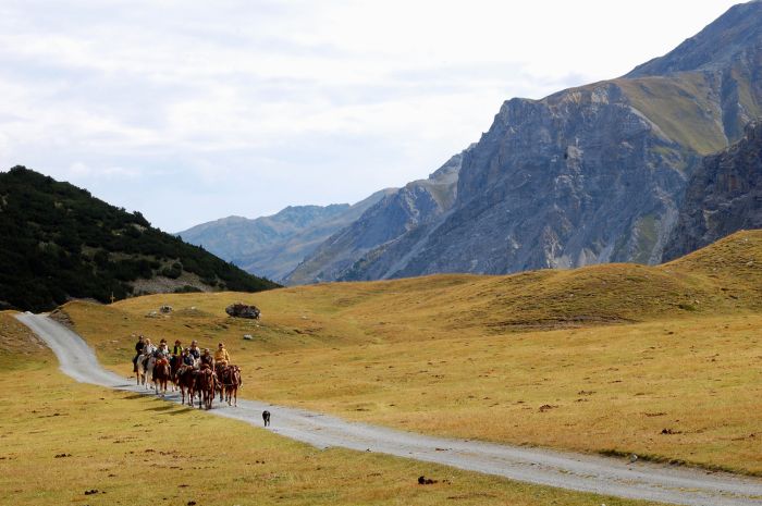 Randonnées panoramiques à travers les Alpes