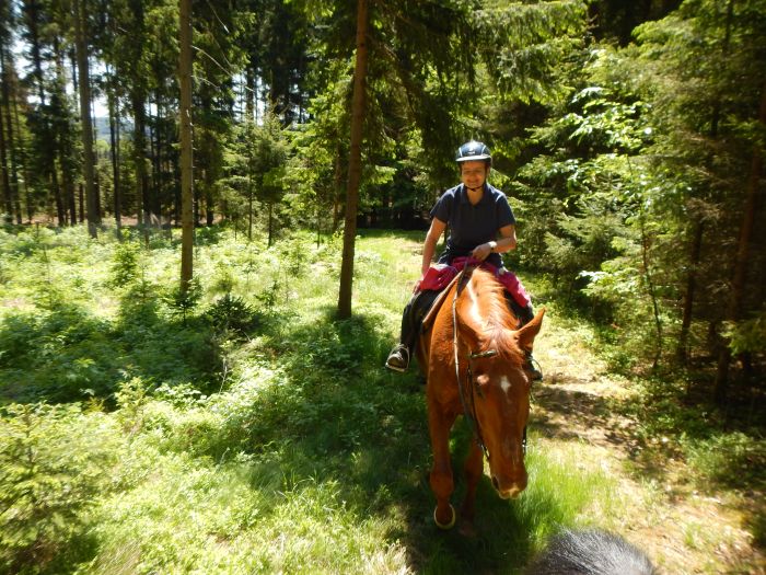 Paradis équestre dans le Mühlviertel
