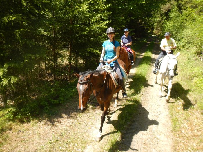 Paradis équestre dans le Mühlviertel