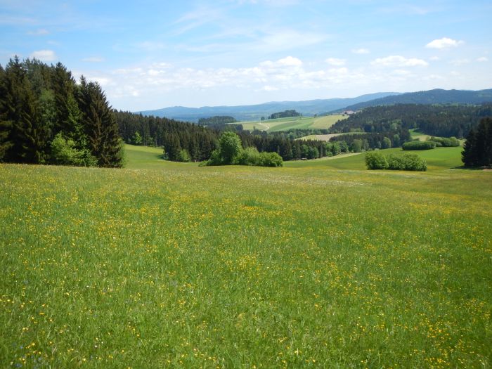 Paradis équestre dans le Mühlviertel