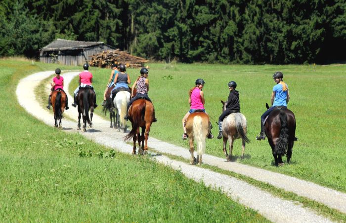 Paradis équestre dans le Mühlviertel