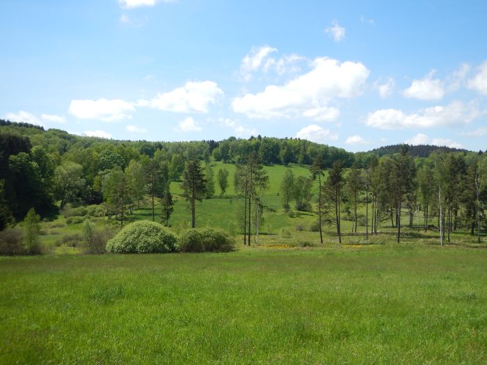 Paradis équestre dans le Mühlviertel