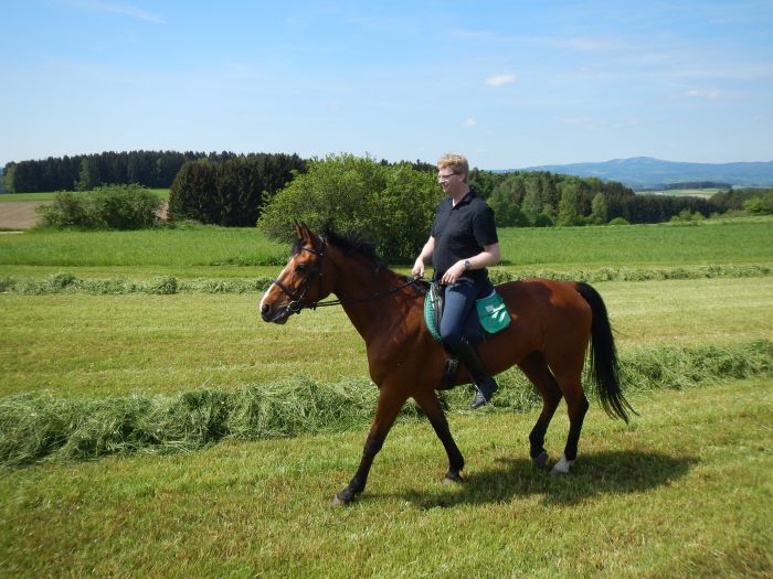 Paradis équestre dans le Mühlviertel