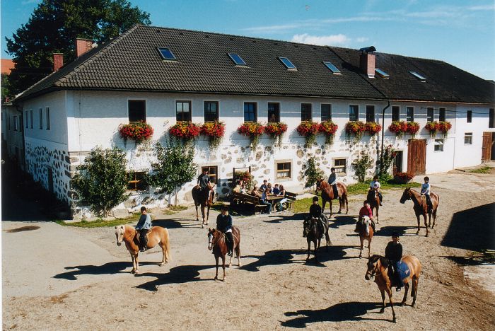 Paradis équestre dans le Mühlviertel