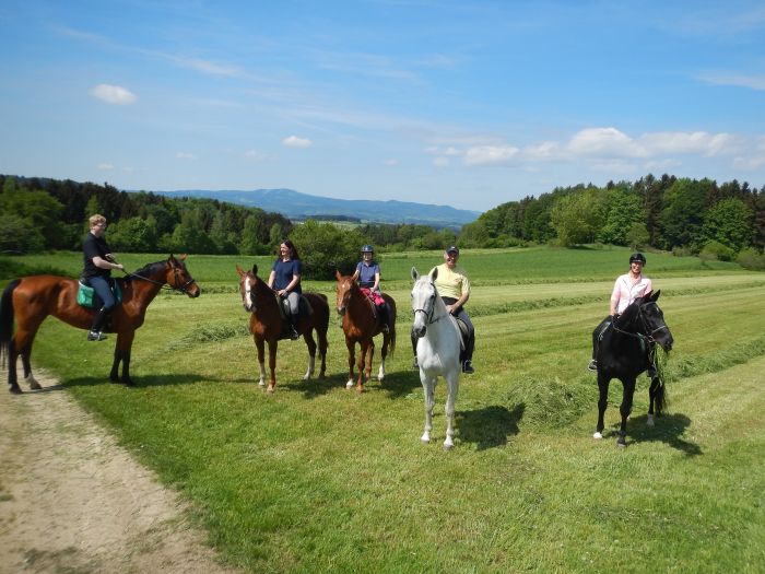 Paradis équestre dans le Mühlviertel