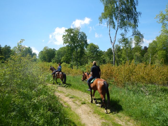 Paradis équestre dans le Mühlviertel