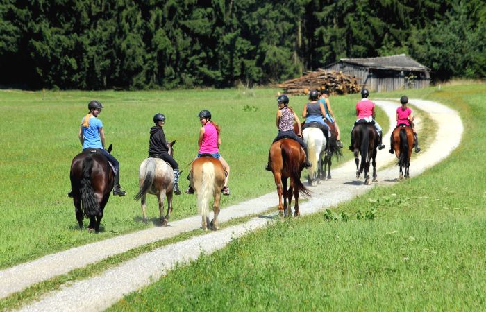 Paradis équestre dans le Mühlviertel