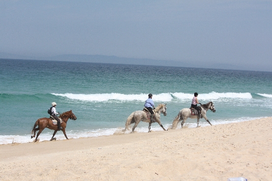 Randonnée sur la côte d'Alentejo