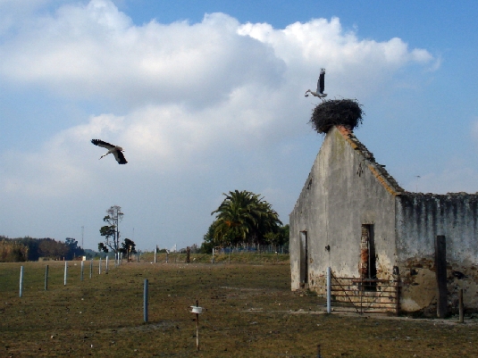 Randonnée sur la côte d'Alentejo