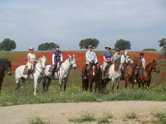 La randonnée des chevaux royaux.