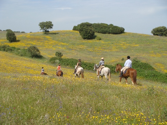 La randonnée des chevaux royaux.