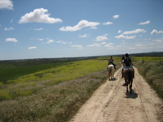 La randonnée des chevaux royaux.