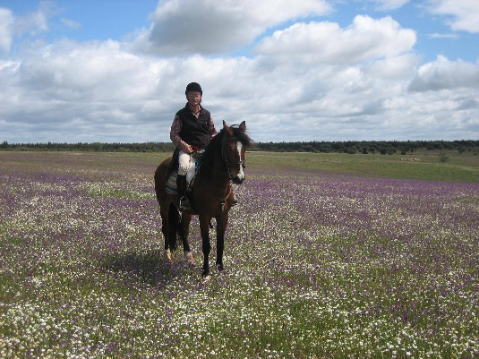 La randonnée des chevaux royaux.