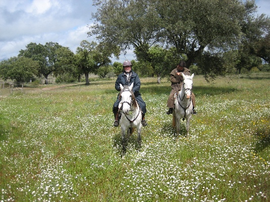La randonnée des chevaux royaux.