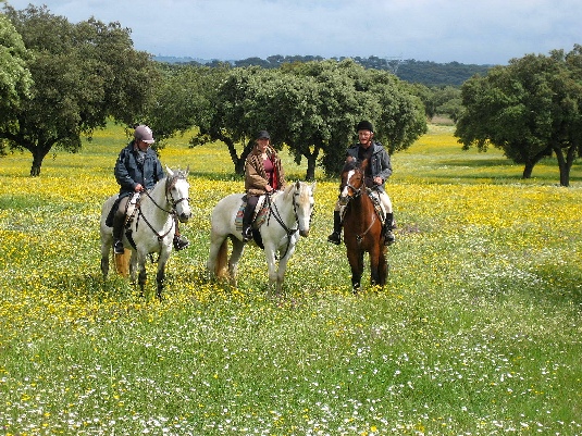 La randonnée des chevaux royaux.