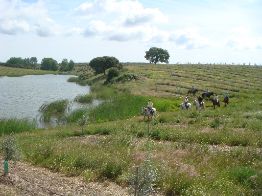 La randonnée des chevaux royaux.