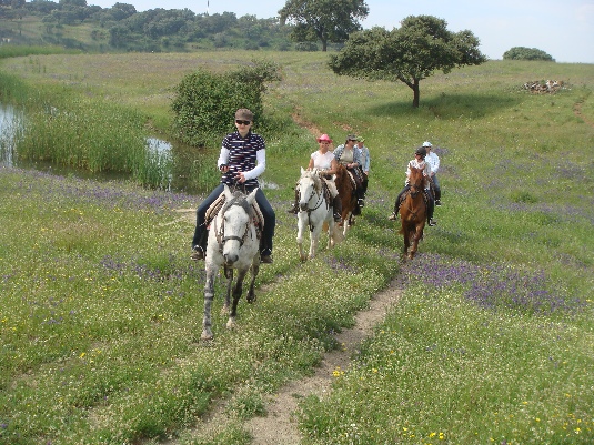 La randonnée des chevaux royaux.