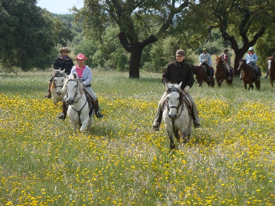 La randonnée des chevaux royaux.