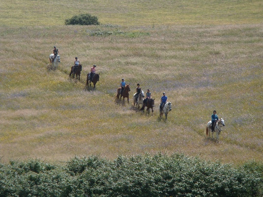 La randonnée des chevaux royaux.