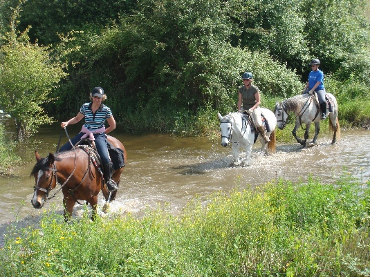 La randonnée des chevaux royaux.