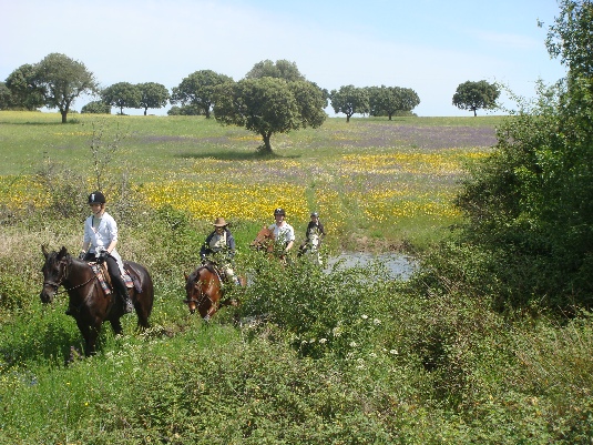 La randonnée des chevaux royaux.