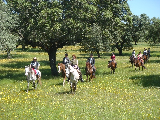 La randonnée des chevaux royaux.