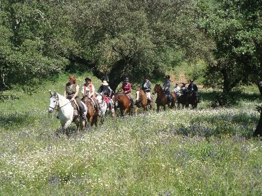 La randonnée des chevaux royaux.