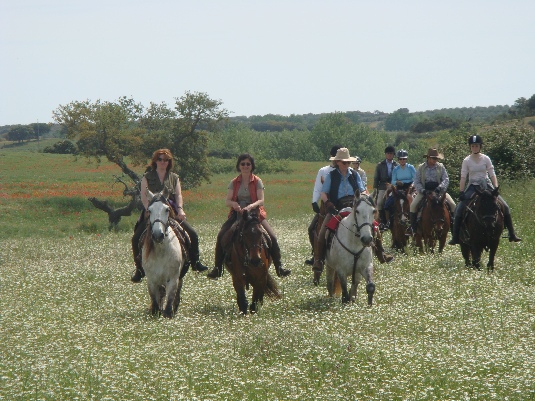 La randonnée des chevaux royaux.