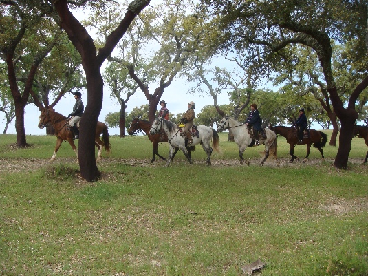 La randonnée des chevaux royaux.