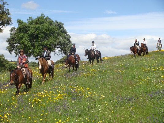 La randonnée des chevaux royaux.