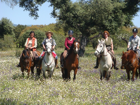 La randonnée des chevaux royaux.