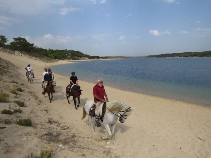 Trail jusqu'à la baie des Dauphins