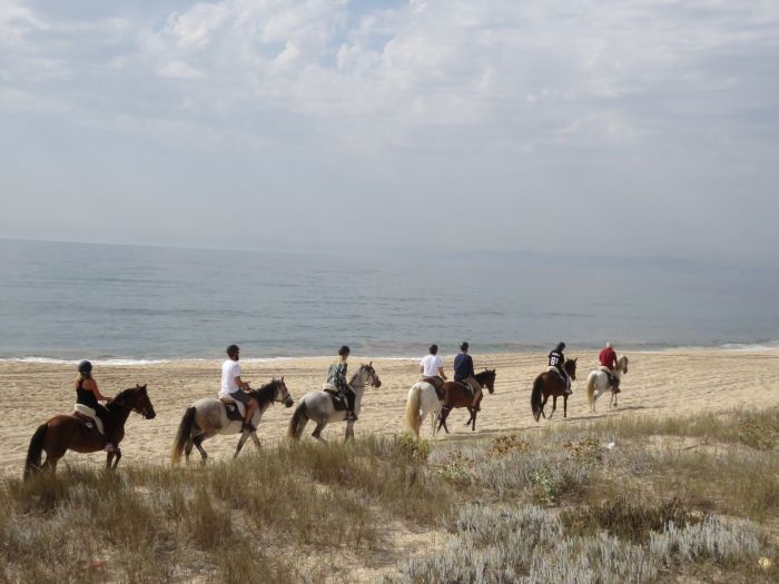 Trail jusqu'à la baie des Dauphins