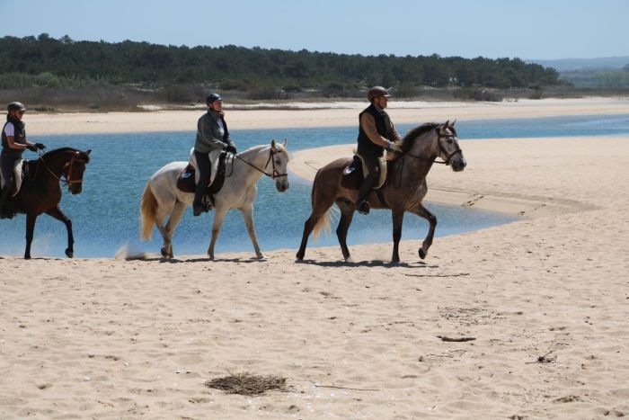 Trail jusqu'&agrave; la baie des Dauphins