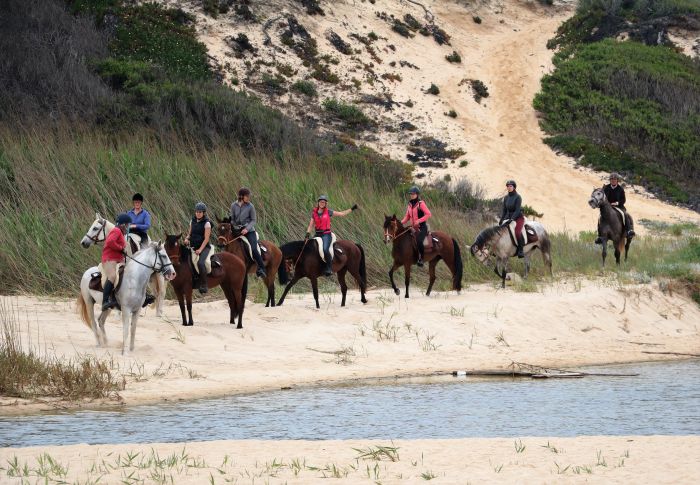 Trail jusqu'à la baie des Dauphins