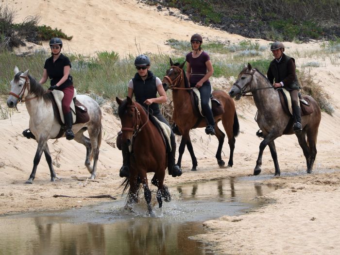 Trail jusqu'à la baie des Dauphins